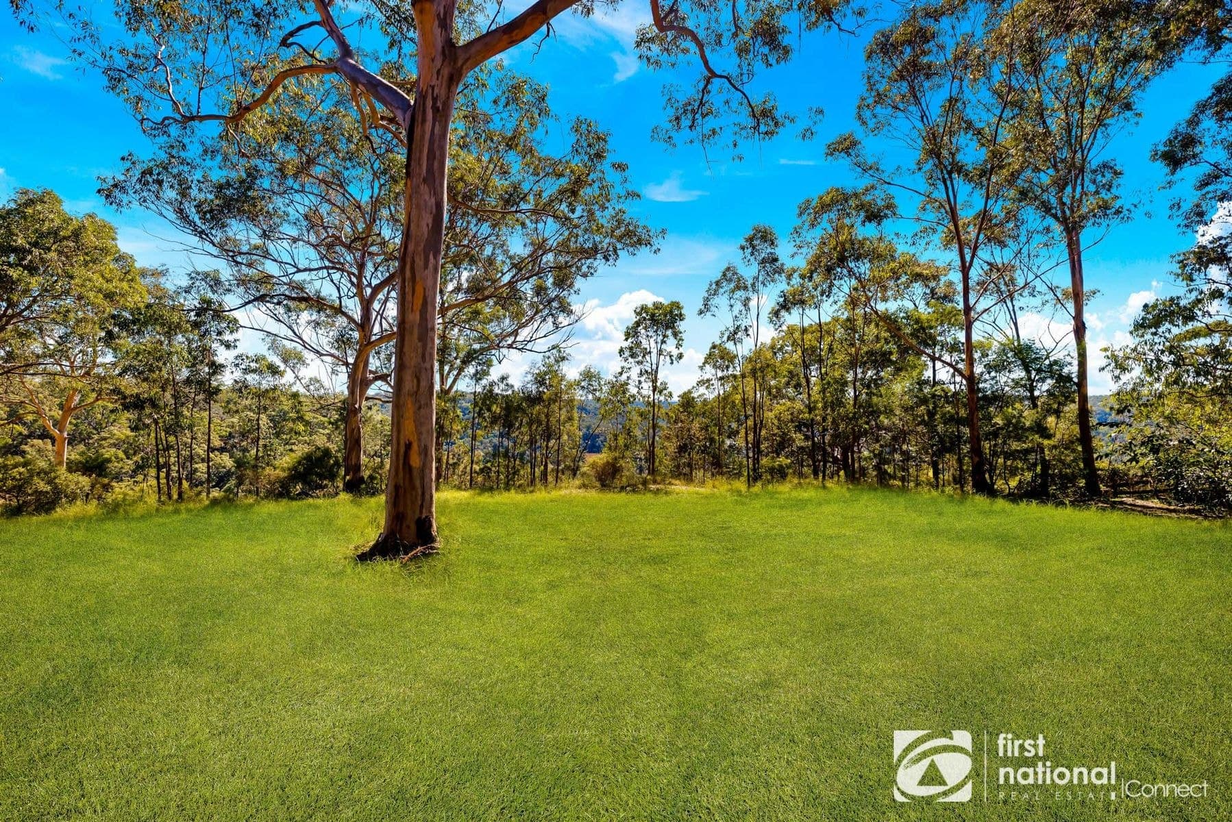 39 Peat Place, Lower Portland NSW 2756, Lower Portland - Thumbnail 4