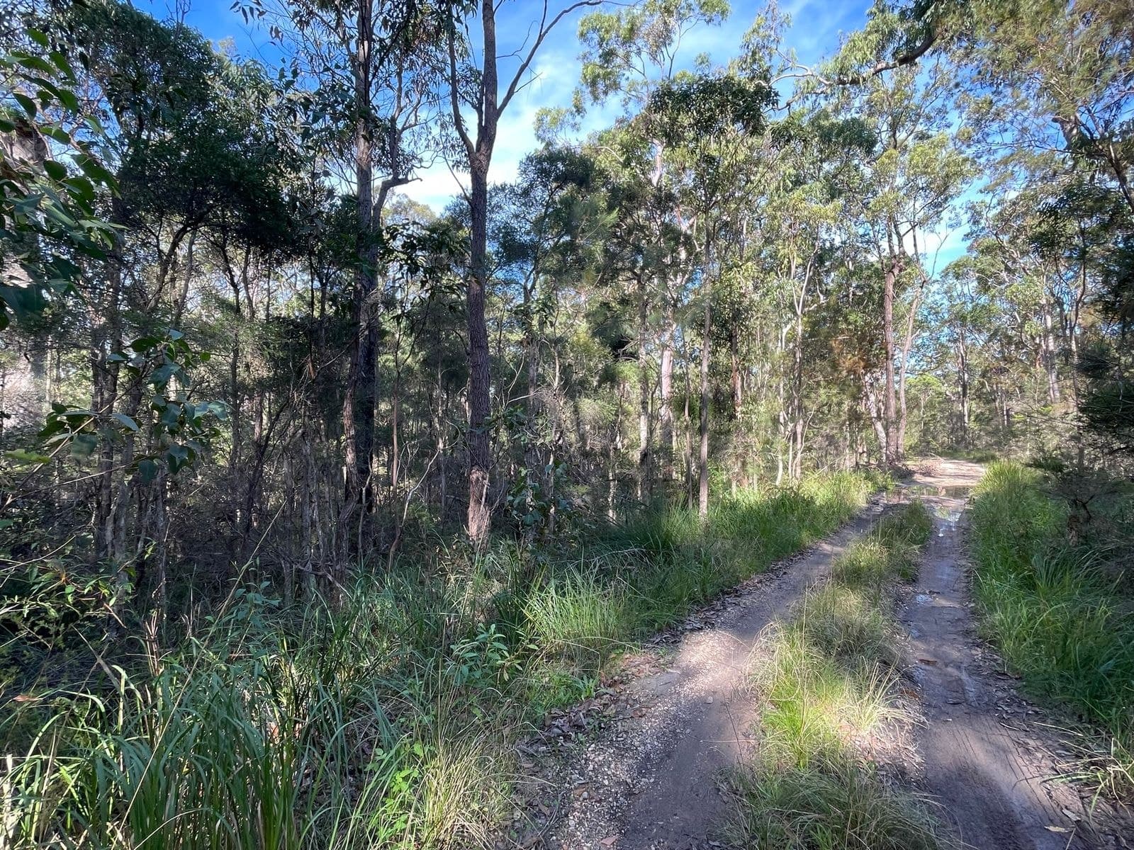 Lot 339 Lansdowne Grove, North Arm Cove NSW 2324, North Arm Cove - Thumbnail 2