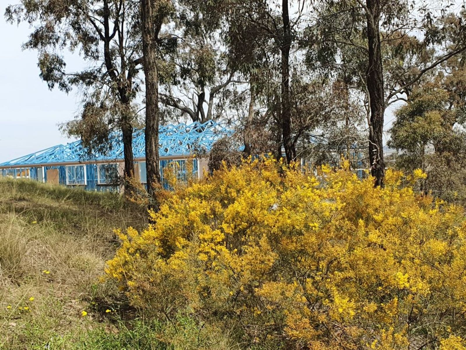 10 Shearer's Close, Muswellbrook NSW 2333, Muswellbrook - Thumbnail 2