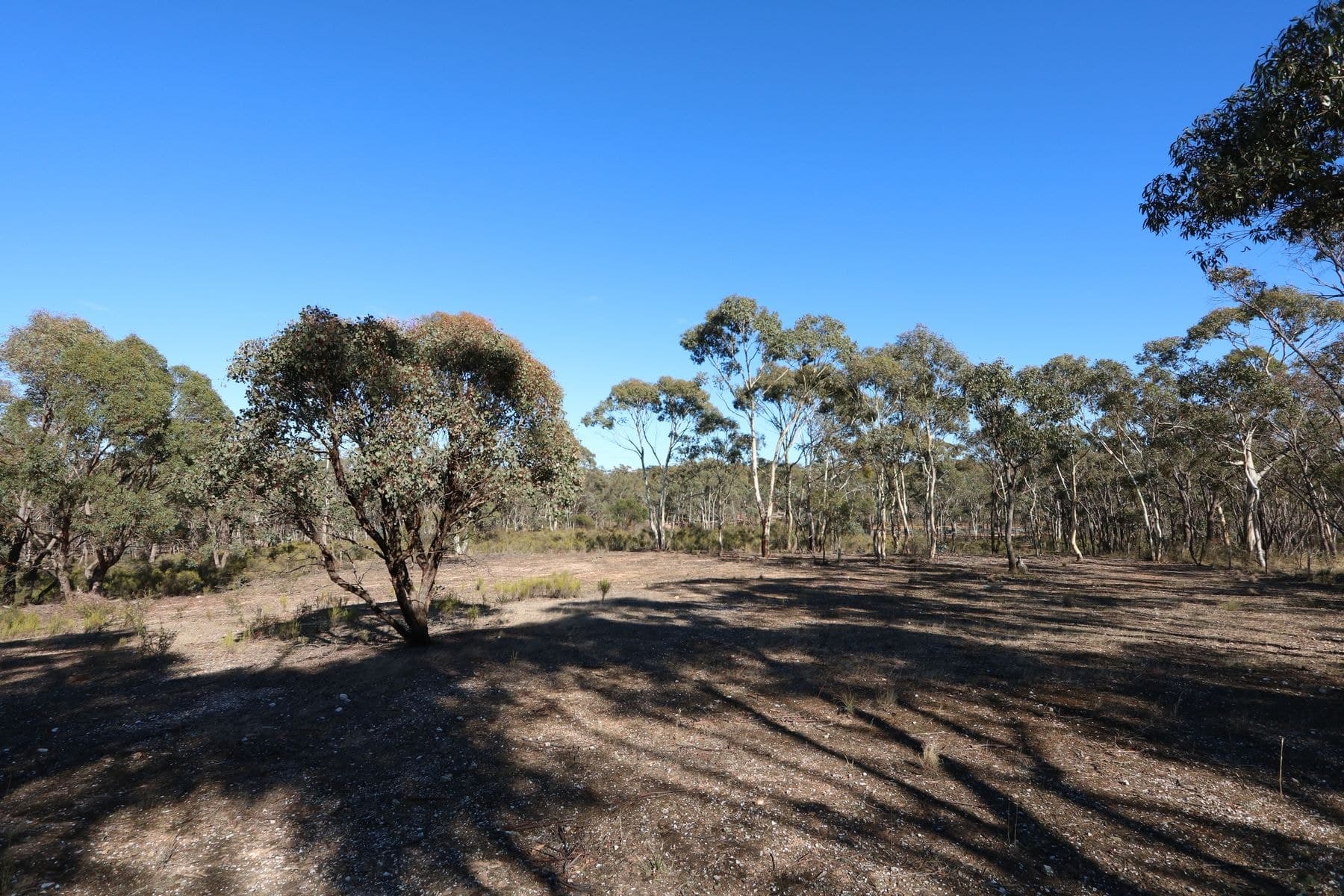 5510 Ballarat-Maryborough Road, Talbot VIC 3371, Talbot - Thumbnail 4