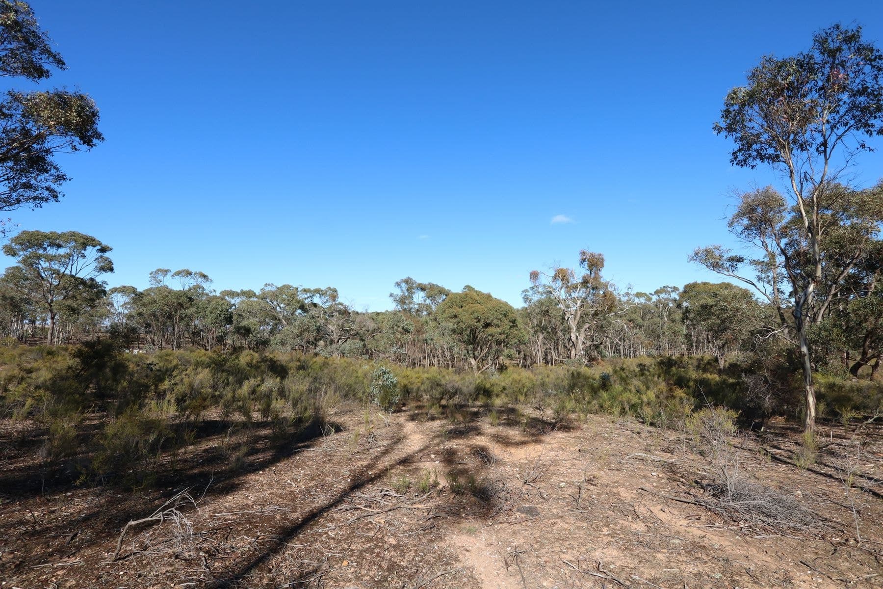 5510 Ballarat-Maryborough Road, Talbot VIC 3371, Talbot - Thumbnail 5