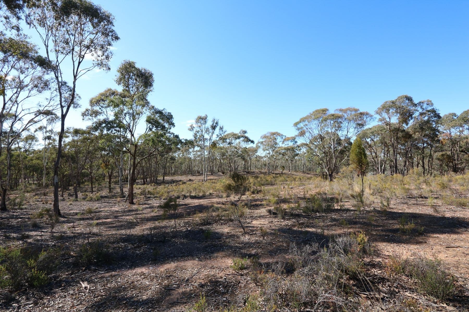 5510 Ballarat-Maryborough Road, Talbot VIC 3371, Talbot - Thumbnail 6