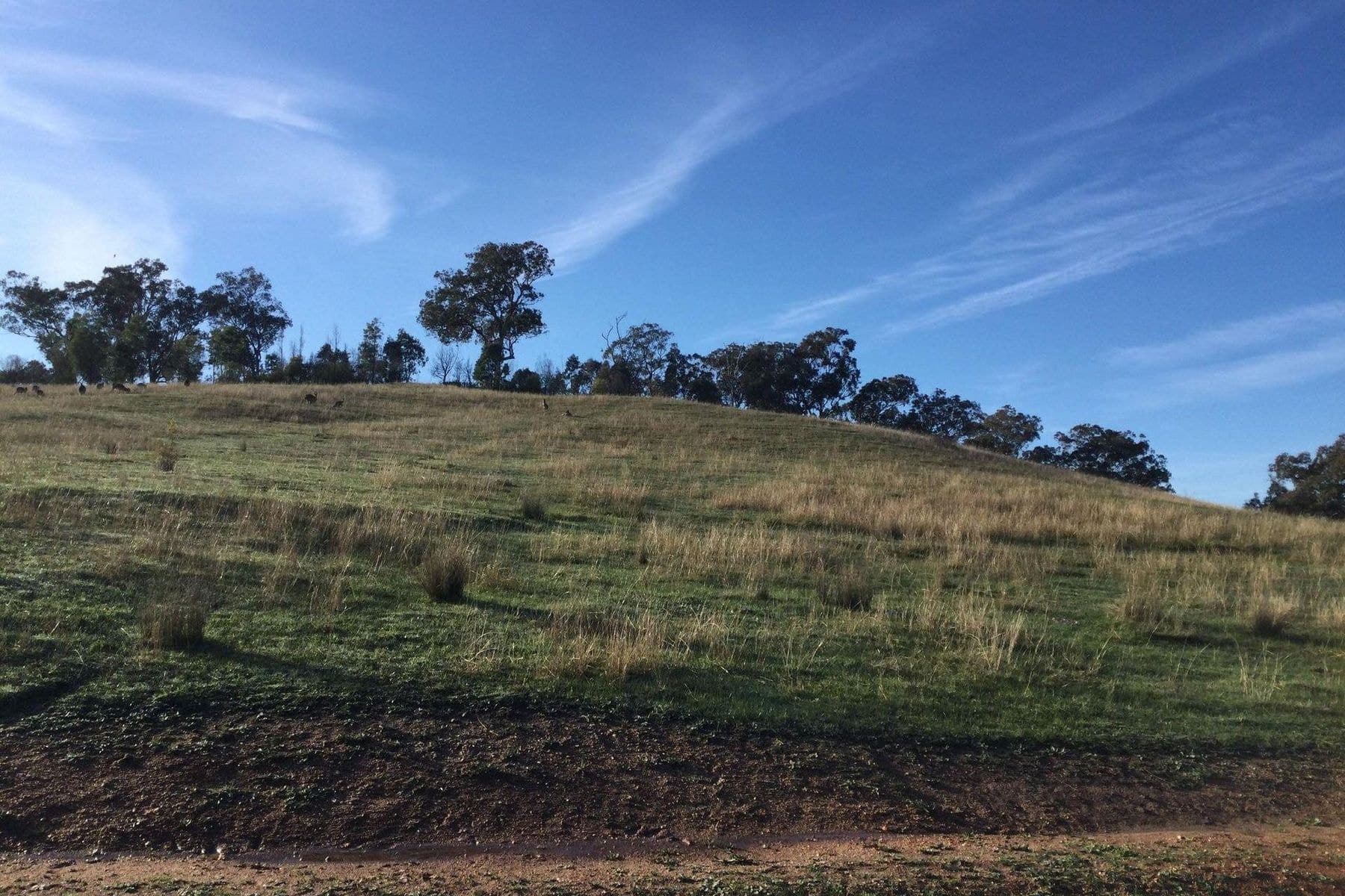 Lot 23 Starbush Road, Bandiana VIC 3691, Bandiana - Thumbnail 2