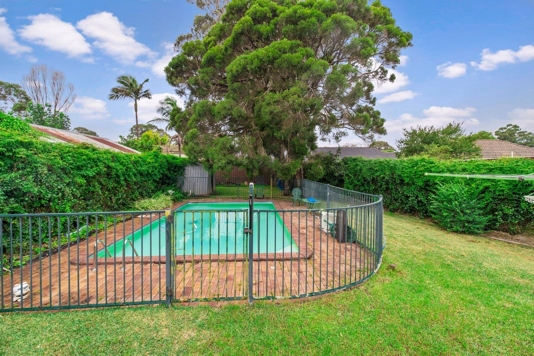 19 Simmons Street, Revesby NSW 2212, Revesby - Thumbnail 8