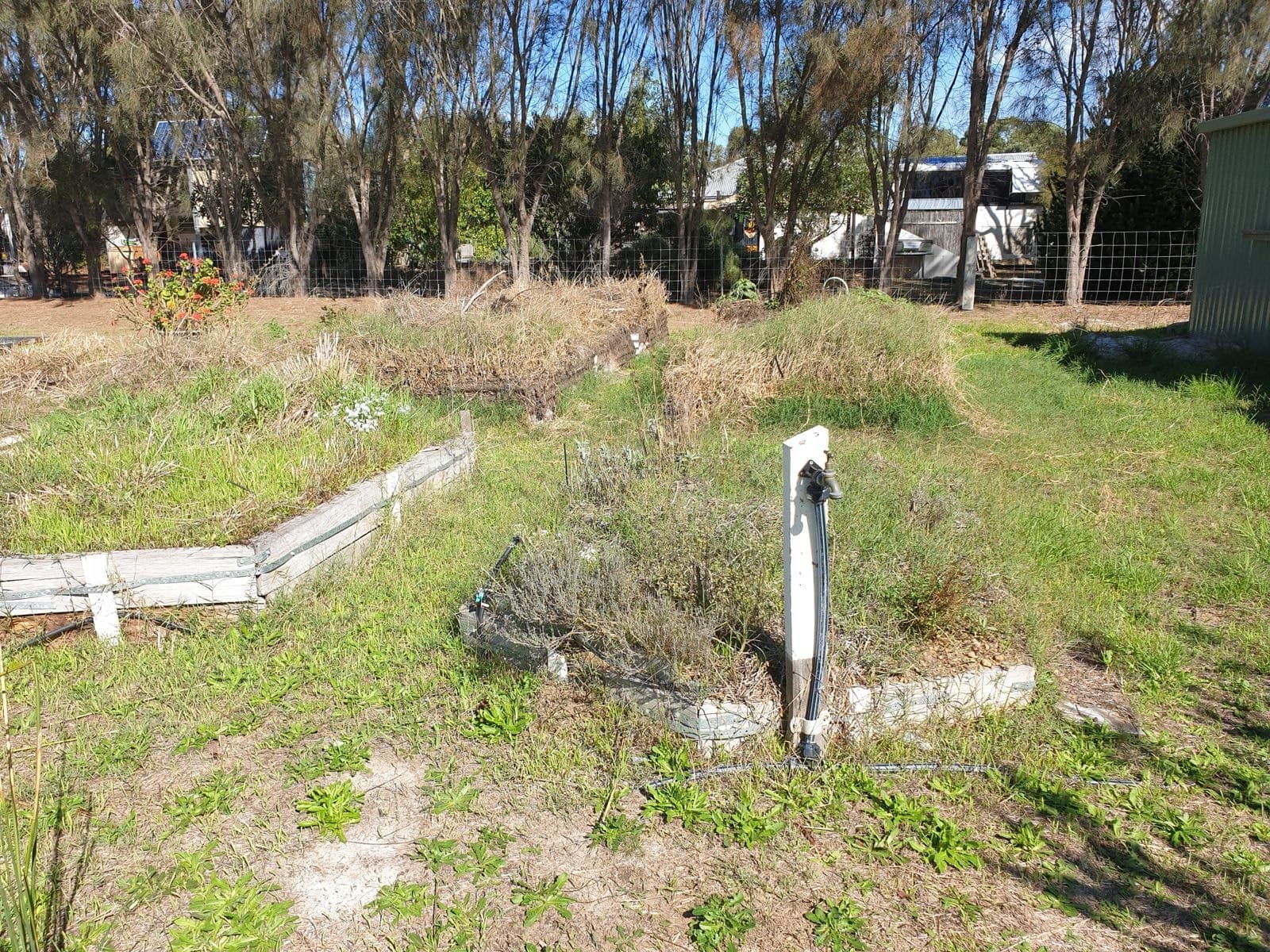 70 Seventh Avenue, Kendenup WA 6323, Kendenup - Thumbnail 6