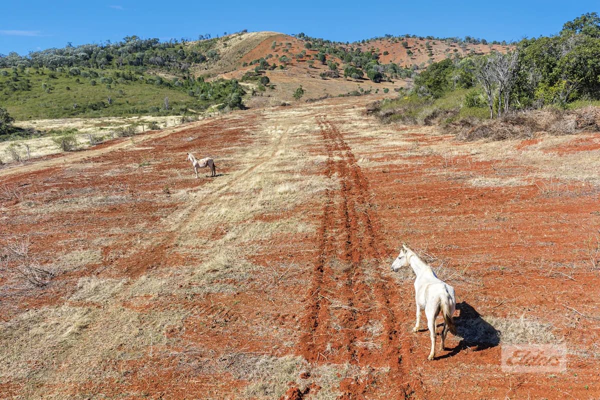 Lot 6 Aplin Road, Bracewell, QLD, 4695, Bracewell - Thumbnail 5