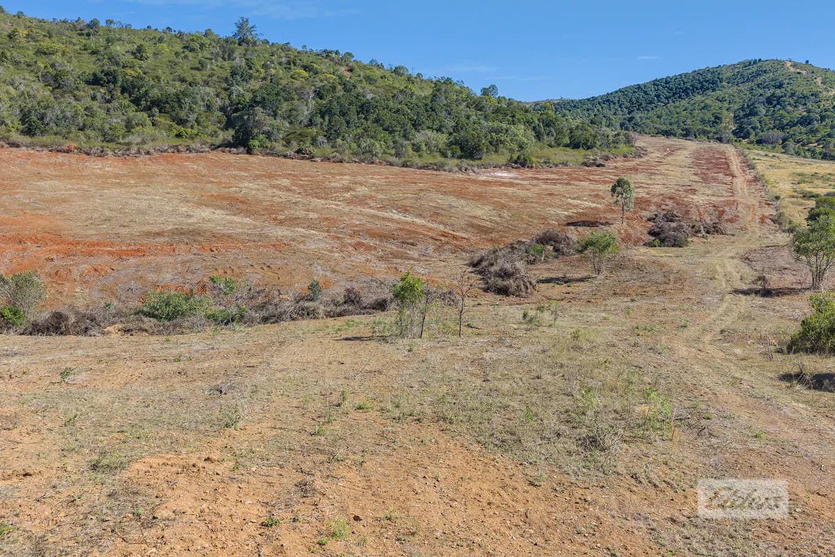 Lot 6 Aplin Road, Bracewell, QLD, 4695, Bracewell - Thumbnail 7