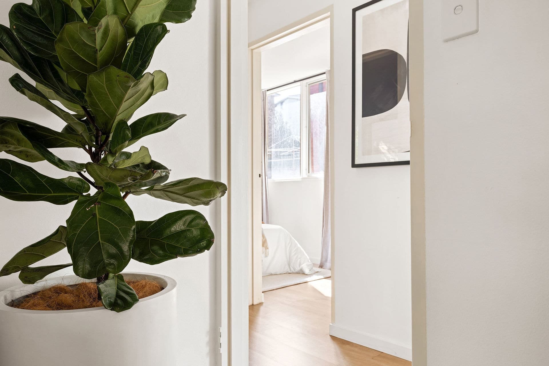 2/27 Pearson Street, Gladesville - Thumbnail 7