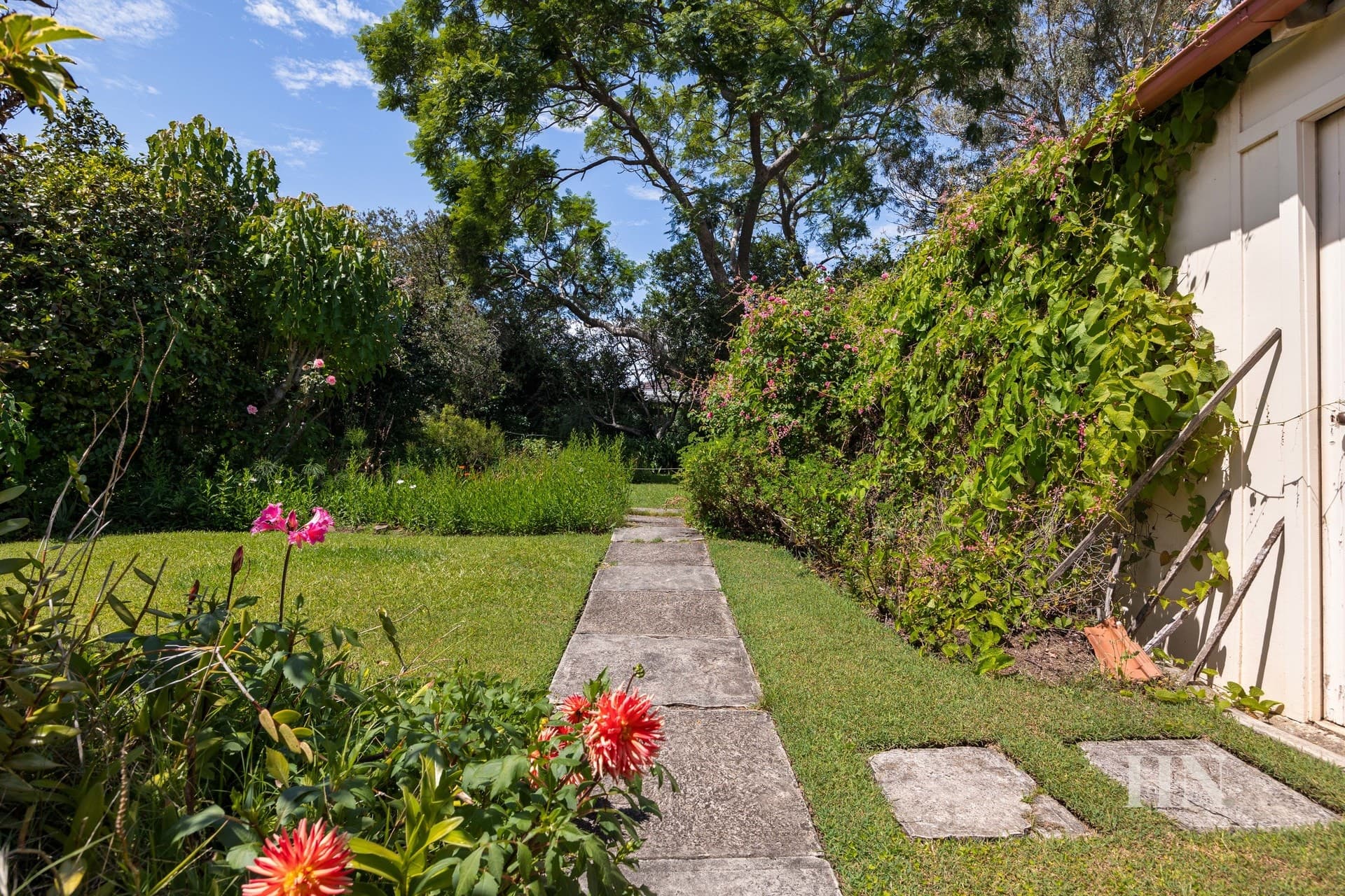 46 Iandra Street, Concord West - Thumbnail 3