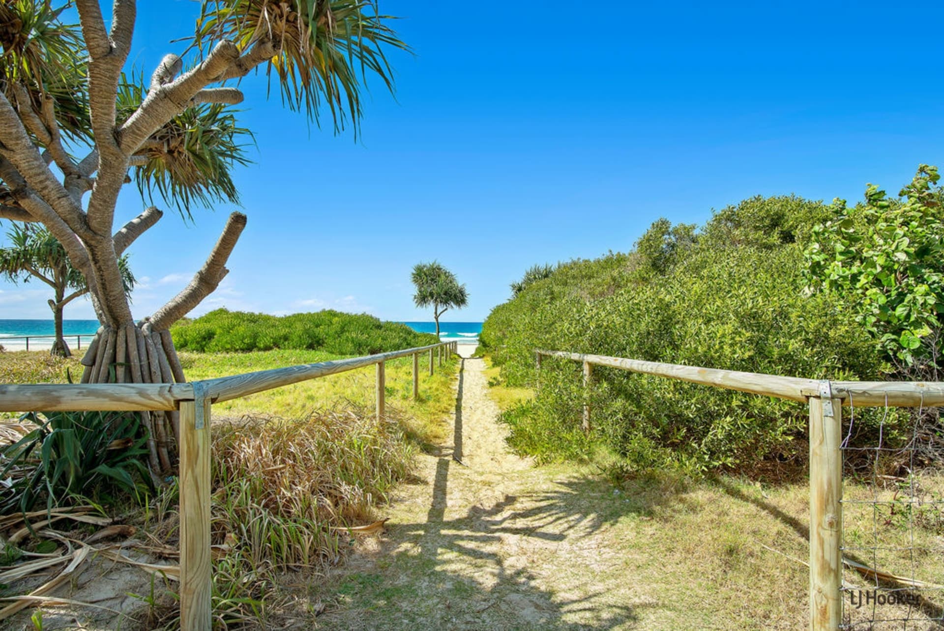 206/1483 Gold Coast Highway, Palm Beach, Palm Beach - Thumbnail 8