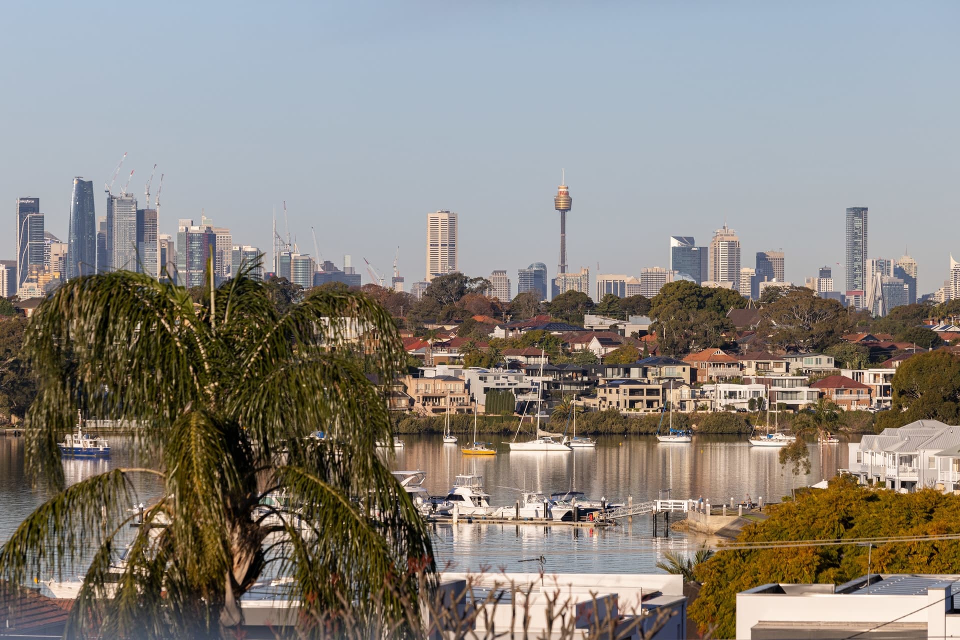20 Elphinstone Street, Concord - Thumbnail 5