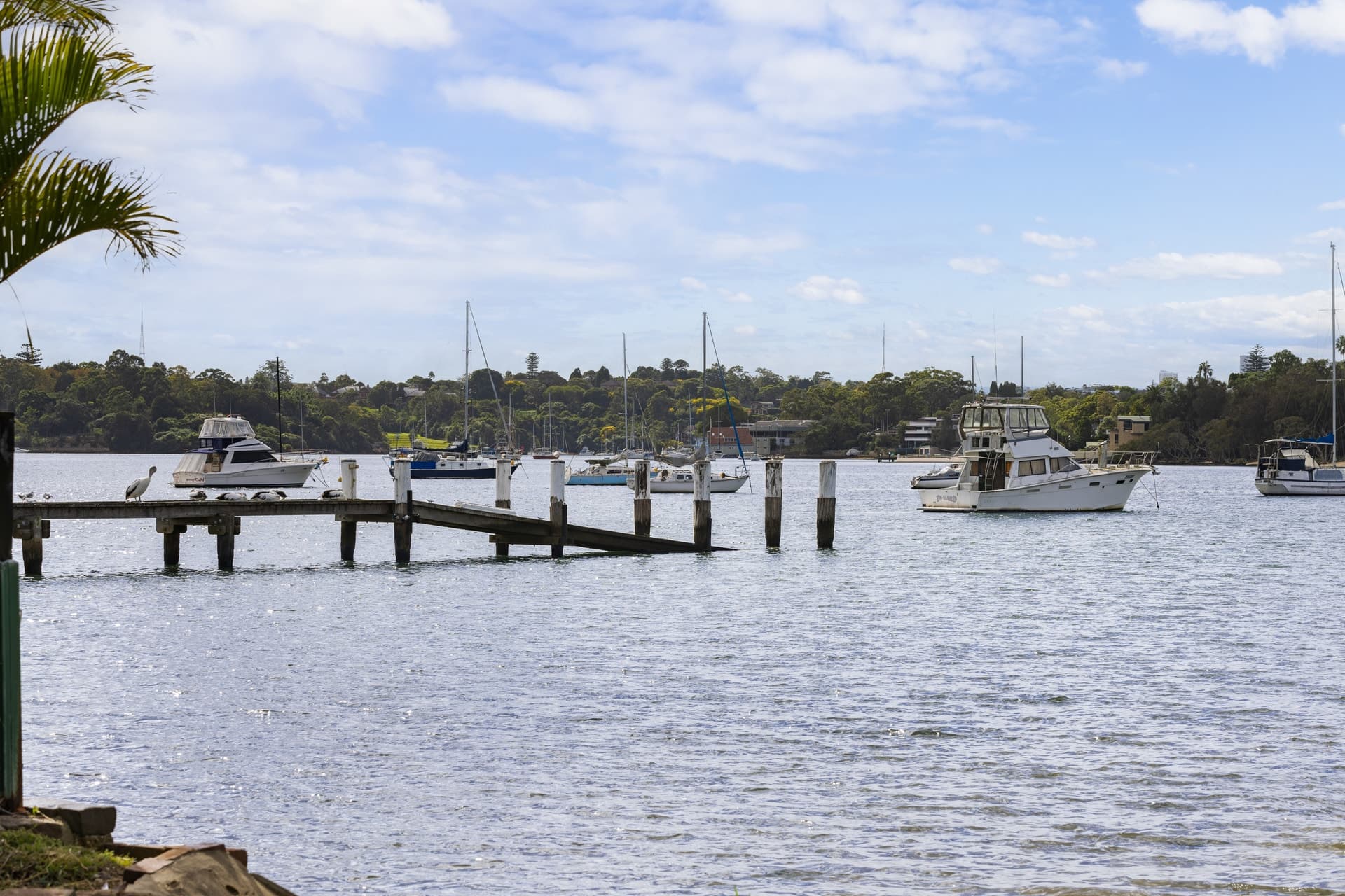 9 Collingwood Avenue, Cabarita - Thumbnail 6
