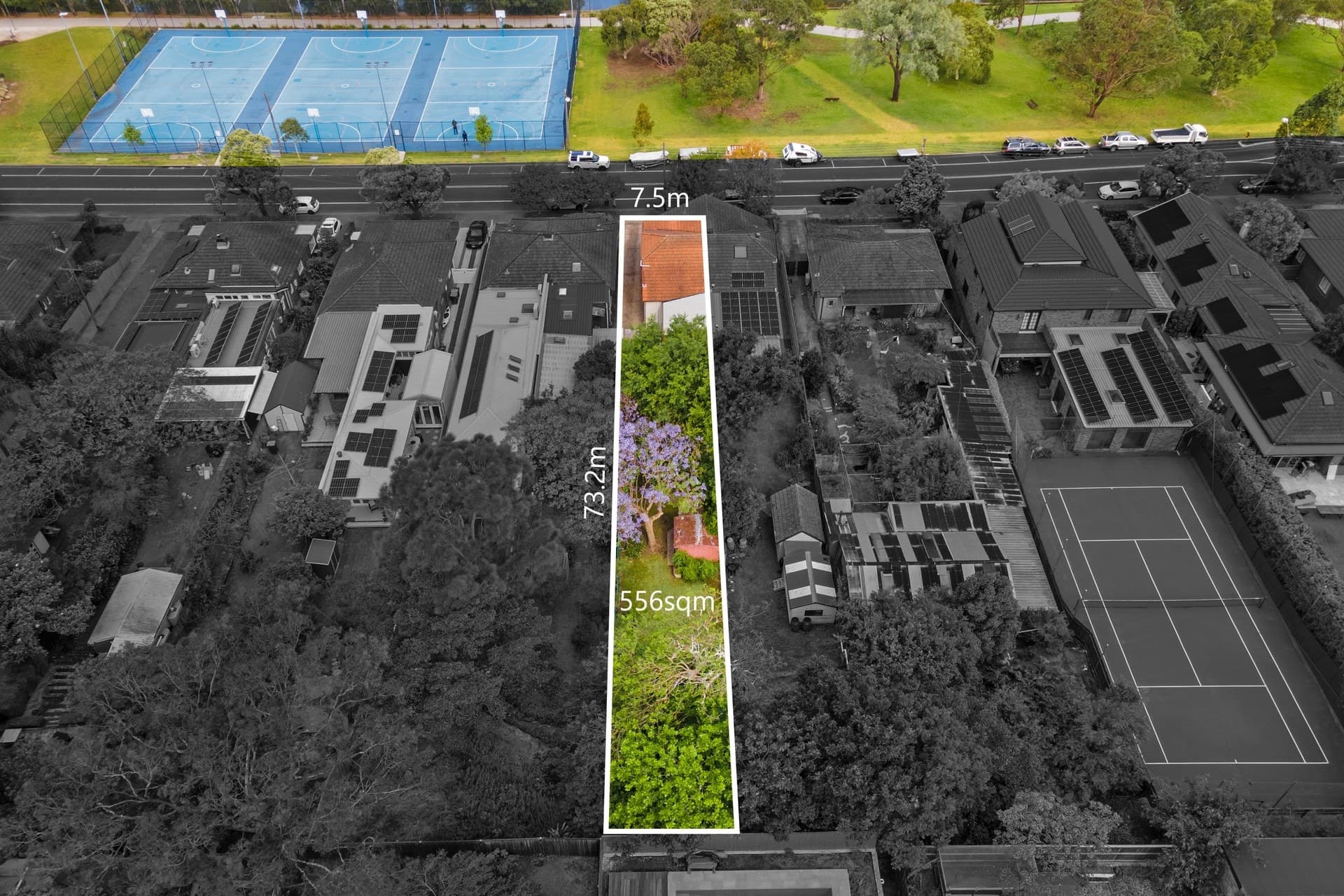 234 Hawthorne Parade, Haberfield - Image 1