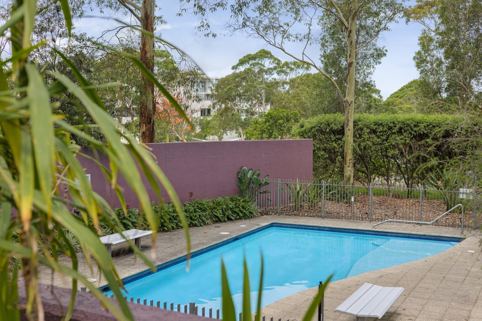15/1 Nurmi Avenue, Newington - Thumbnail 8
