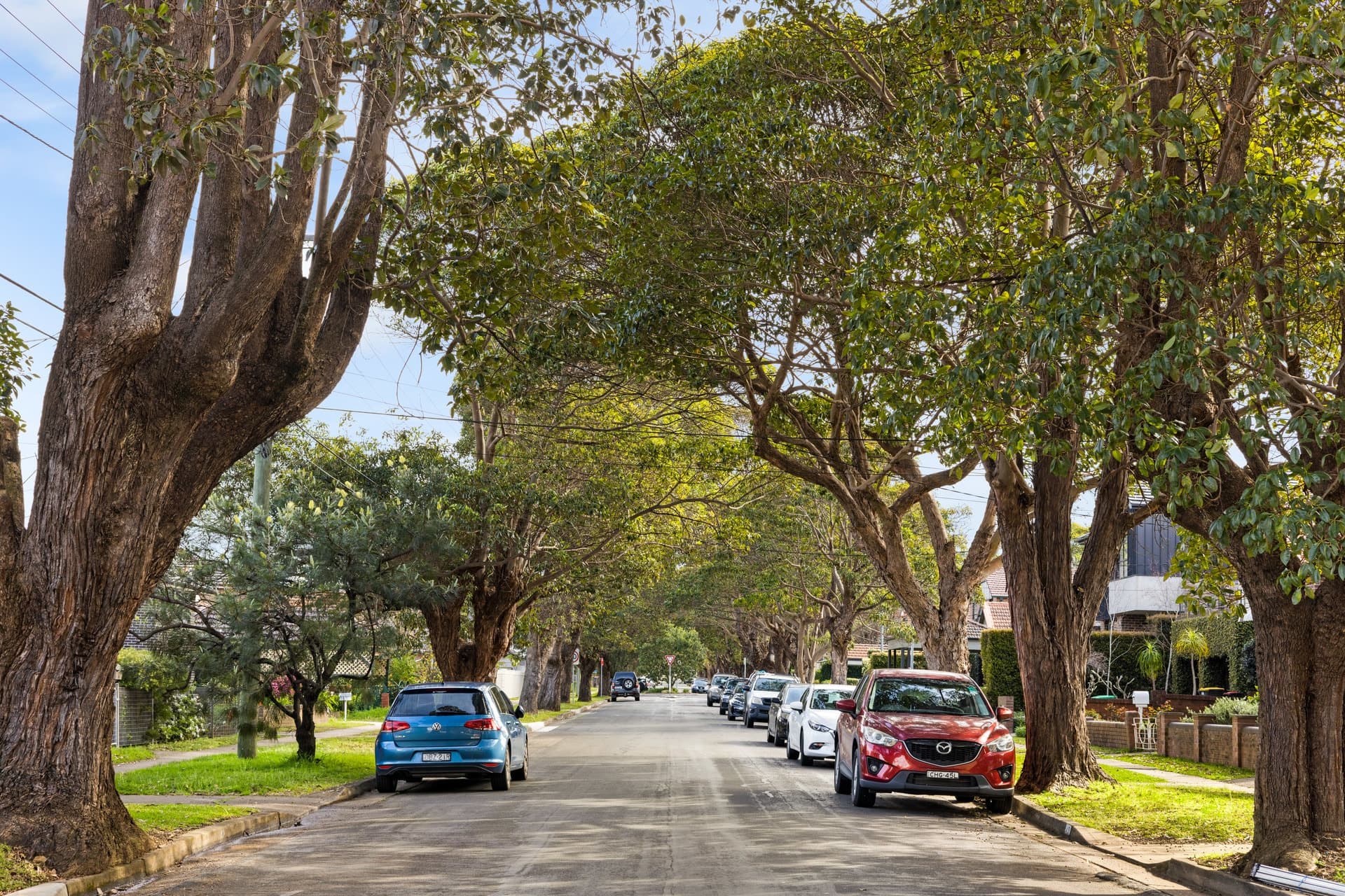 38 Links Avenue Concord NSW 2137, Concord - Thumbnail 7