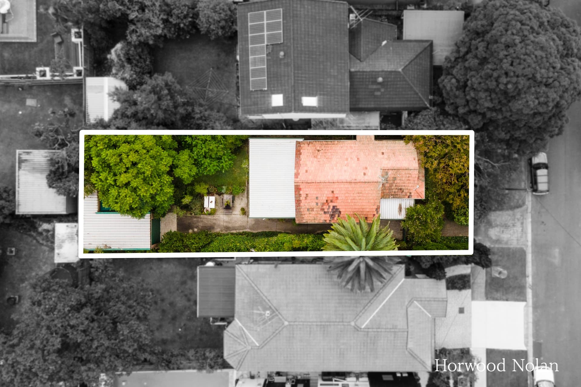 34 Noble Street Rodd Point NSW 2046, Rodd Point - Thumbnail 2