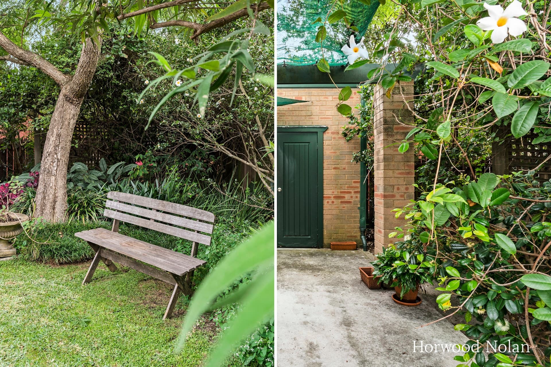 34 Noble Street Rodd Point NSW 2046, Rodd Point - Thumbnail 4