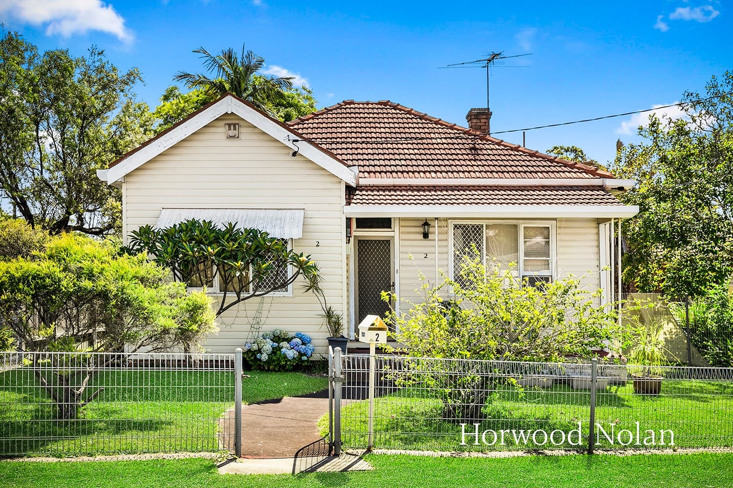 2 Rickard Street Concord NSW 2137, Concord - Thumbnail 2