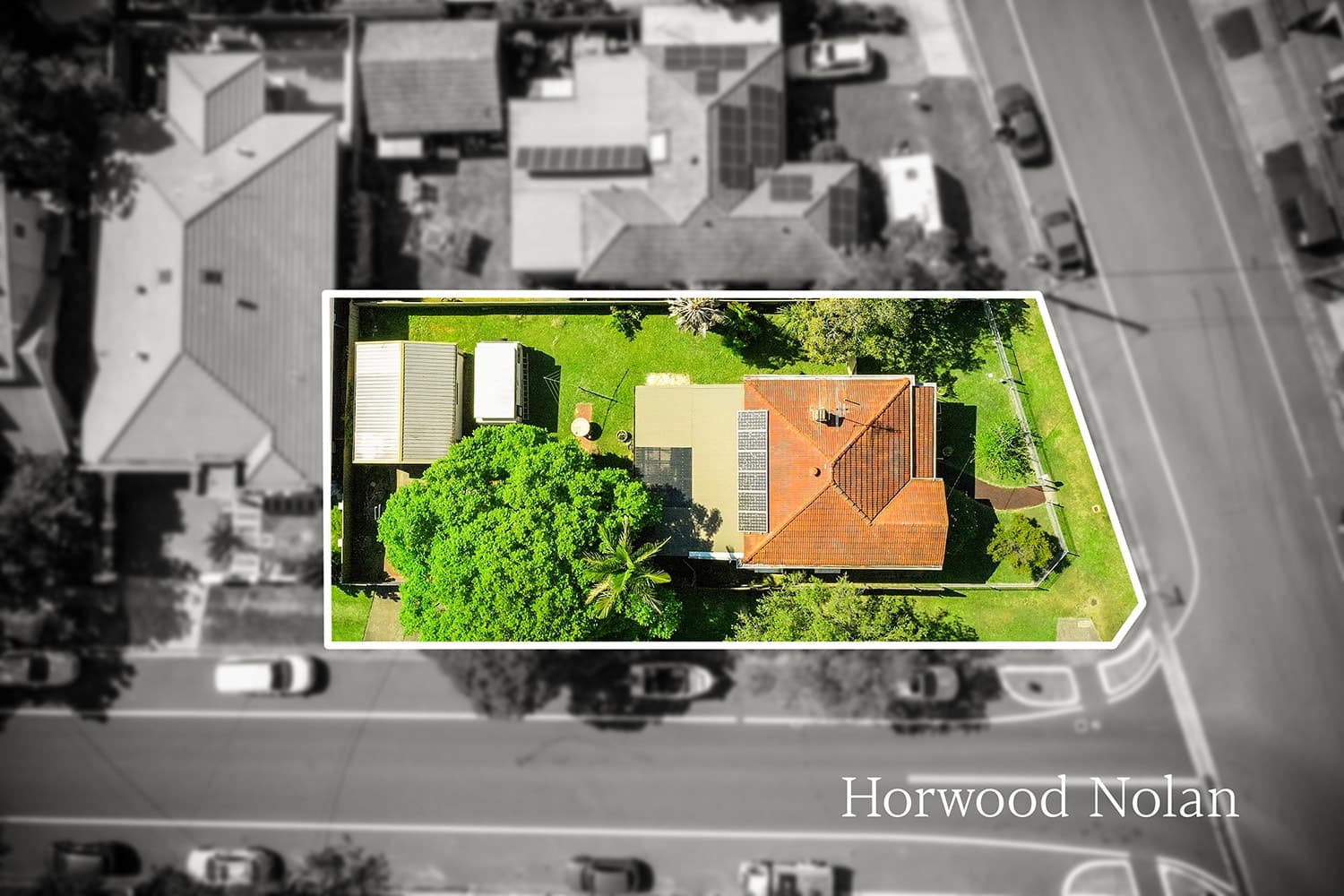 2 Rickard Street Concord NSW 2137, Concord - Thumbnail 4