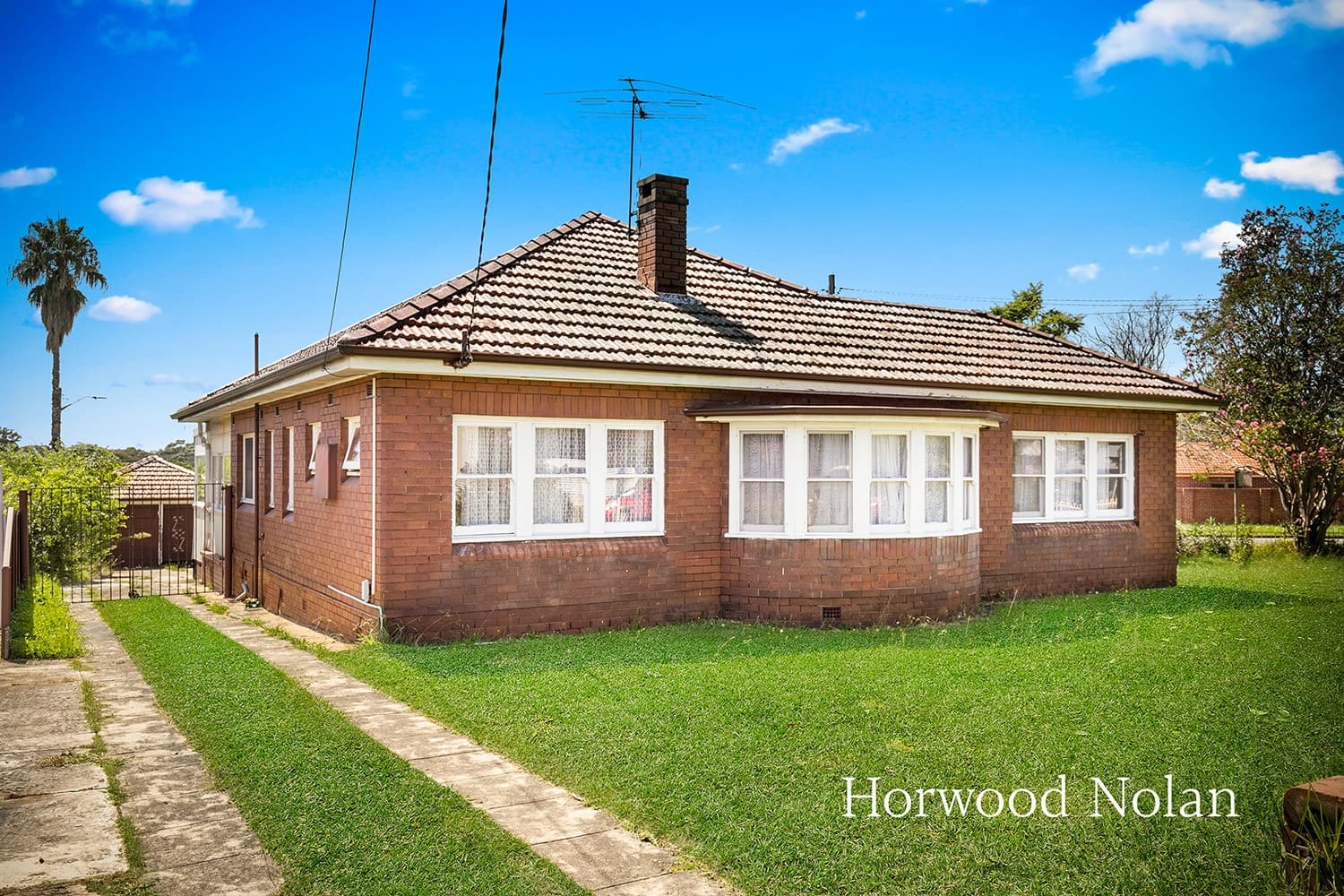 1-3 Harrison Avenue, Concord West - Thumbnail 5