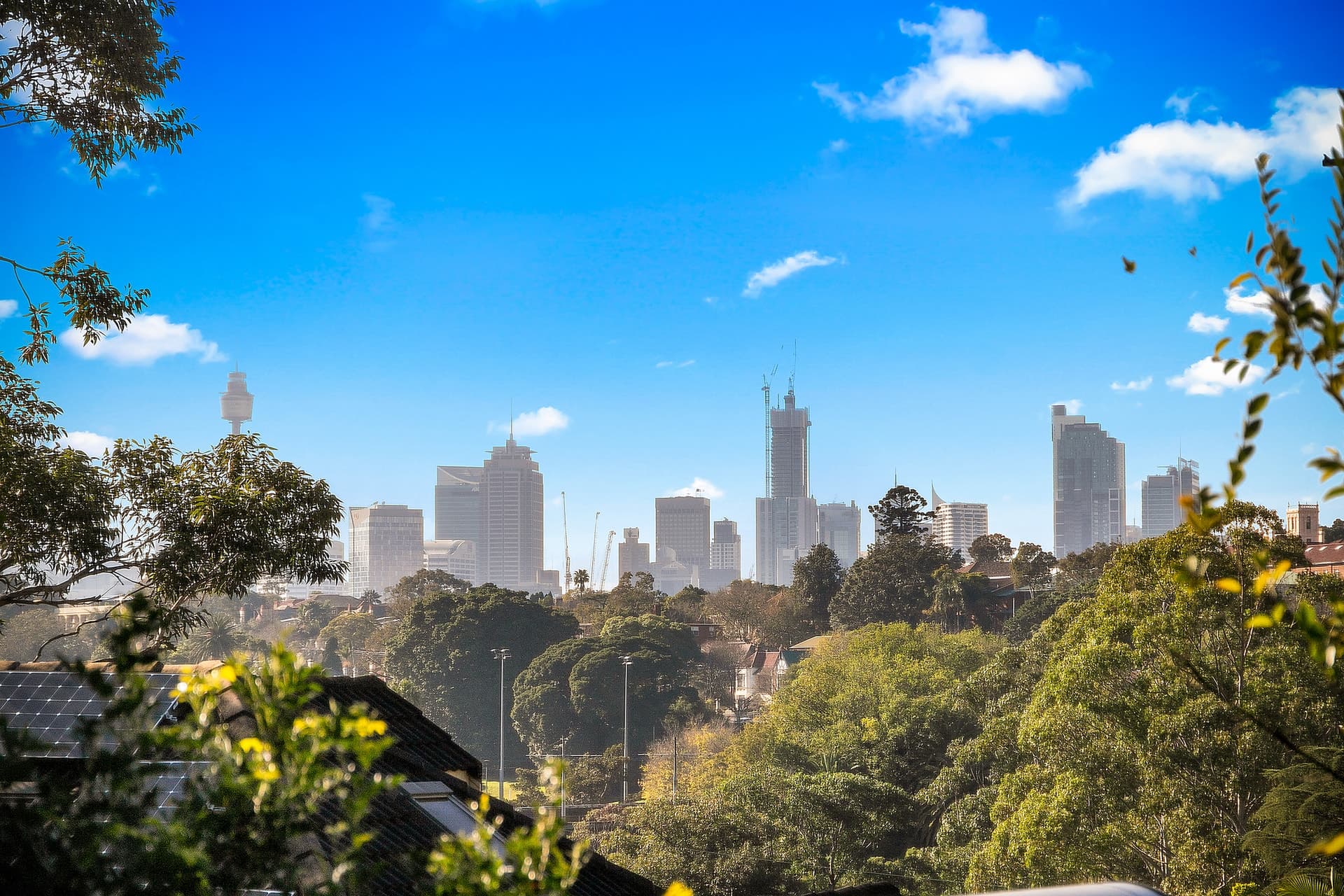 241 Johnston Street, Annandale - Thumbnail 6