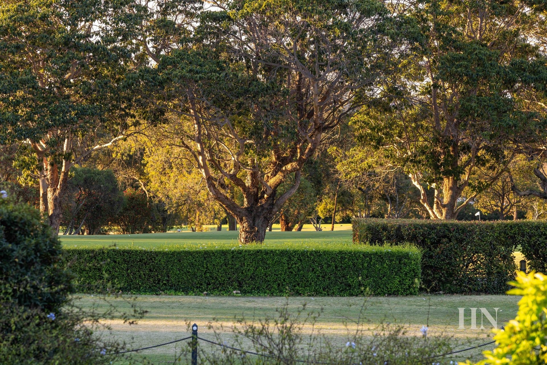51 Links Avenue, Concord - Thumbnail 5
