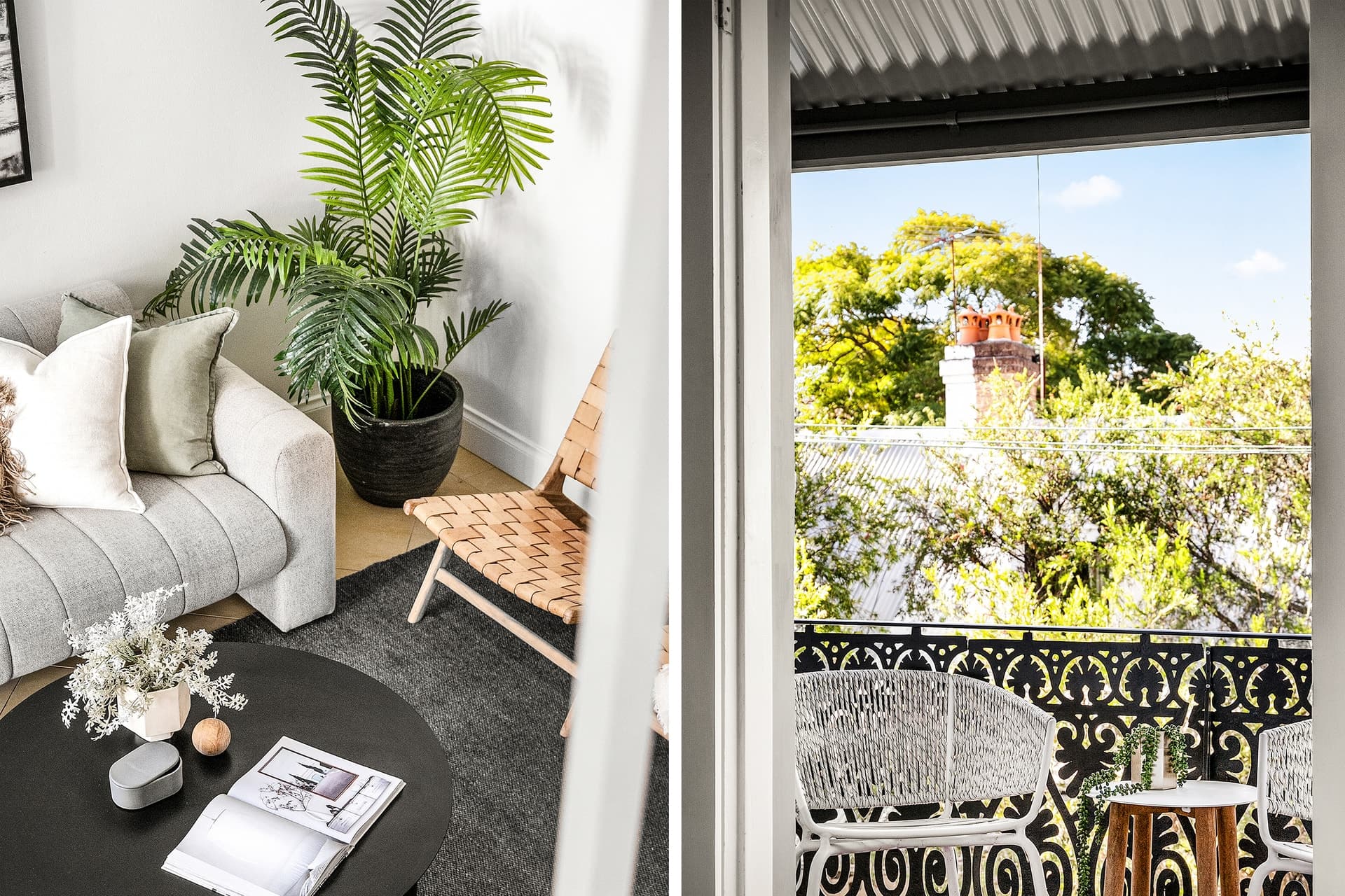 10 Hegarty Street, Glebe - Thumbnail 5