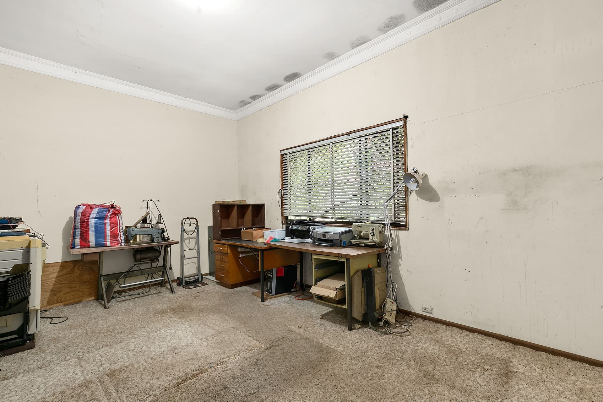 3 Celia Street, Granville - Thumbnail 6