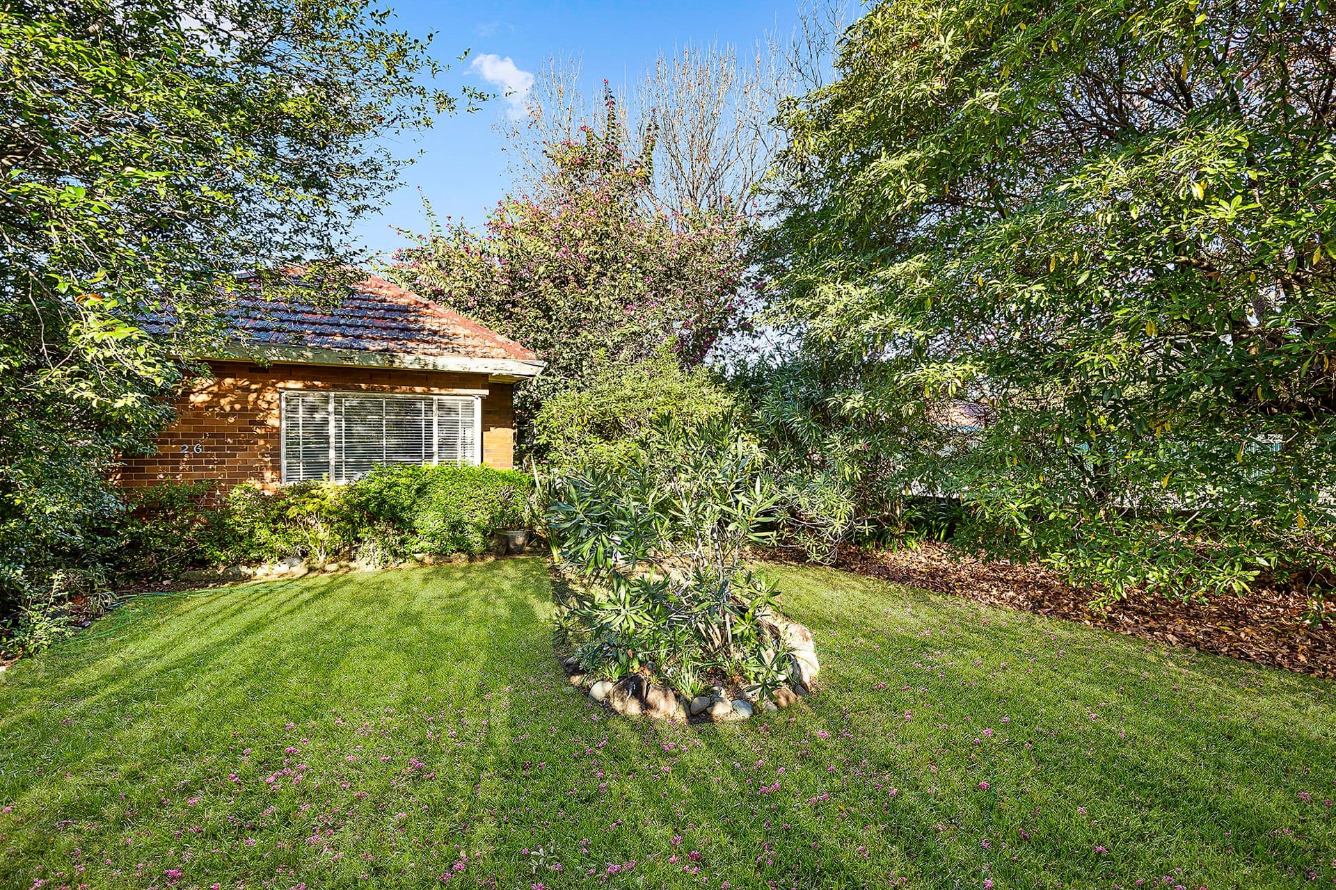26 Hospital Road, Concord West - Thumbnail 2