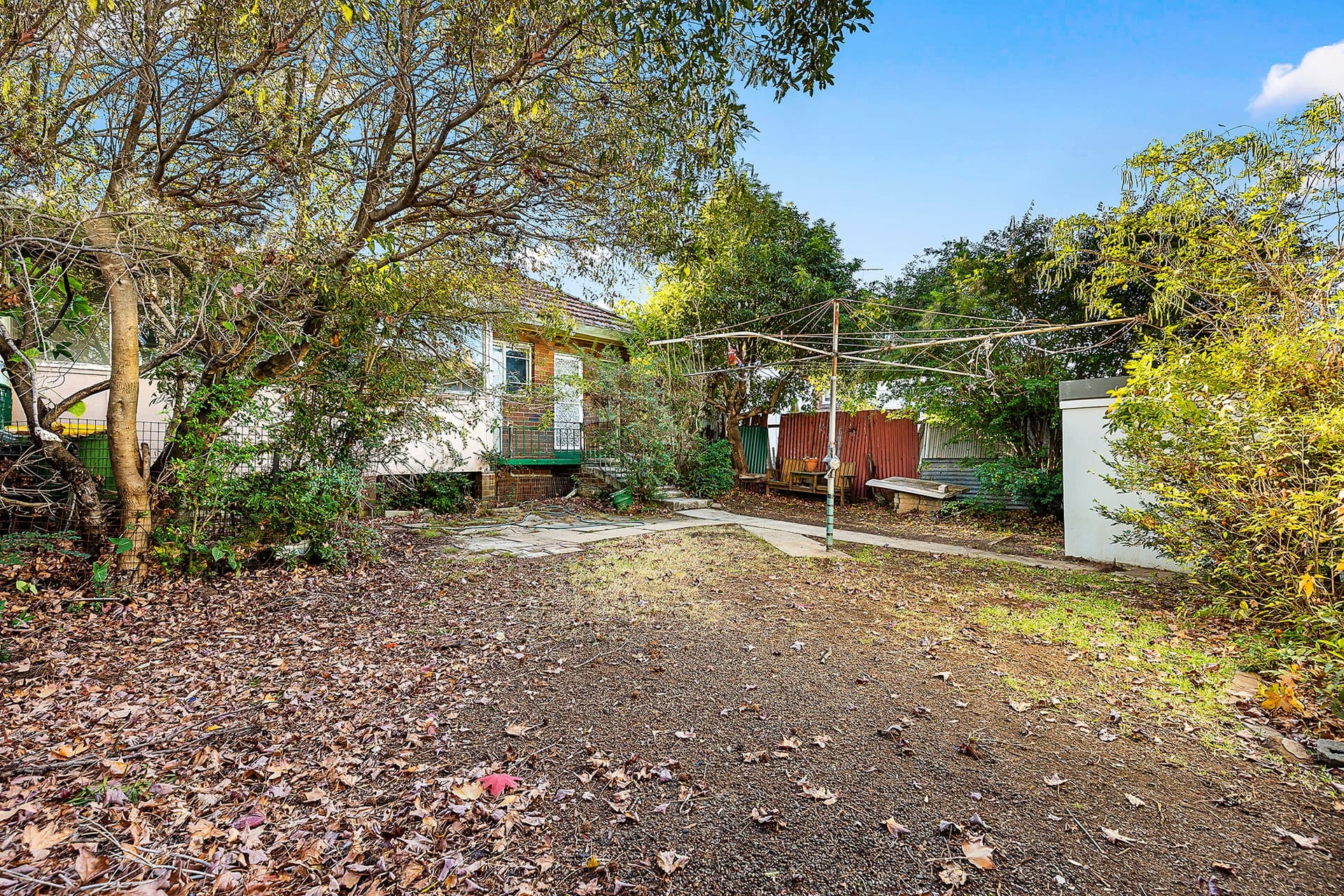 26 Hospital Road, Concord West - Thumbnail 6