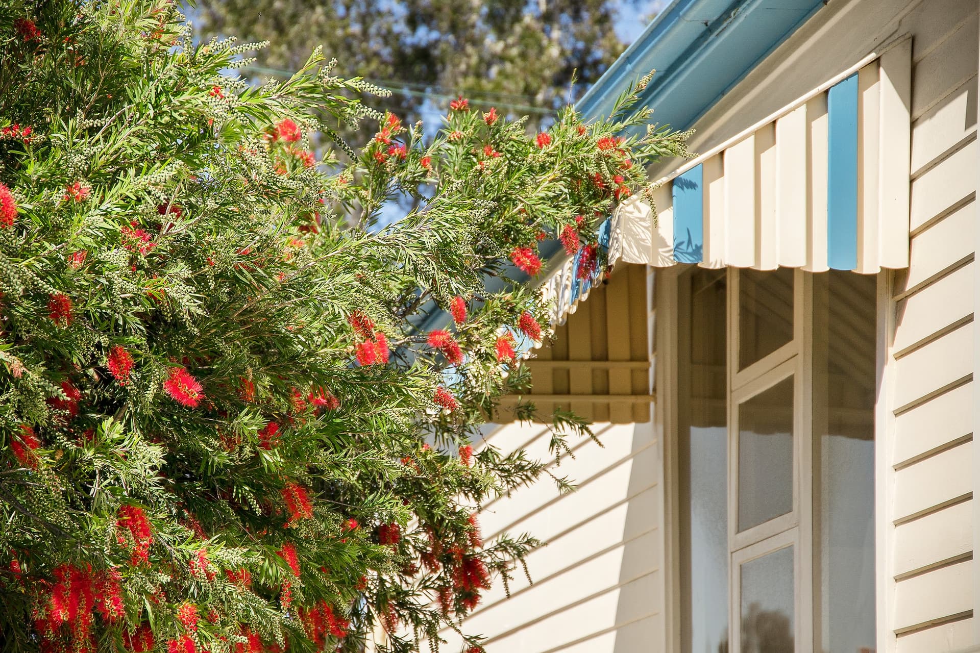 3 Wellbank Street, Concord - Thumbnail 4