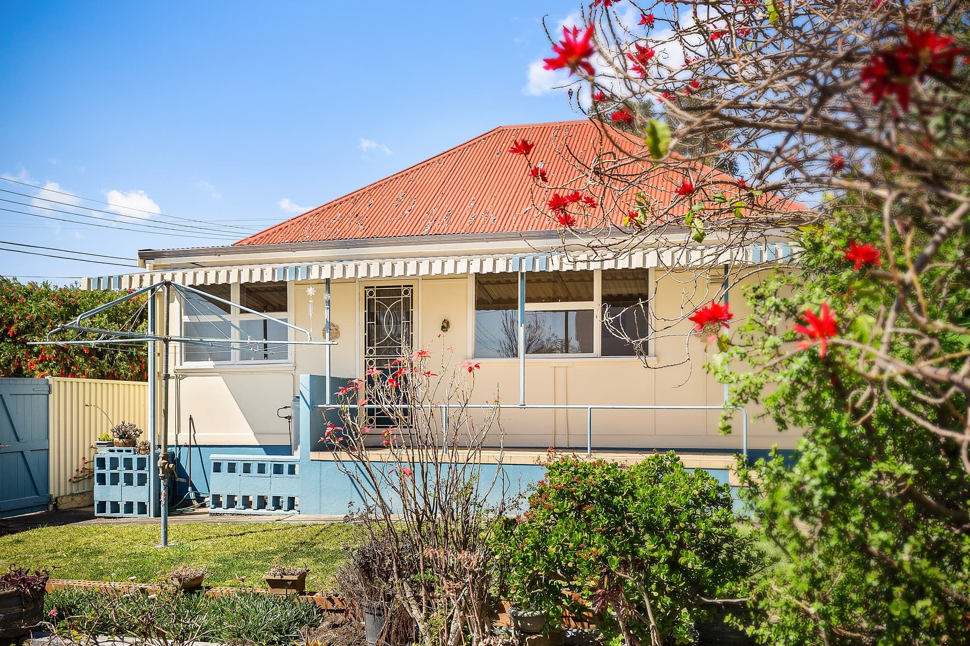 3 Wellbank Street, Concord - Thumbnail 6