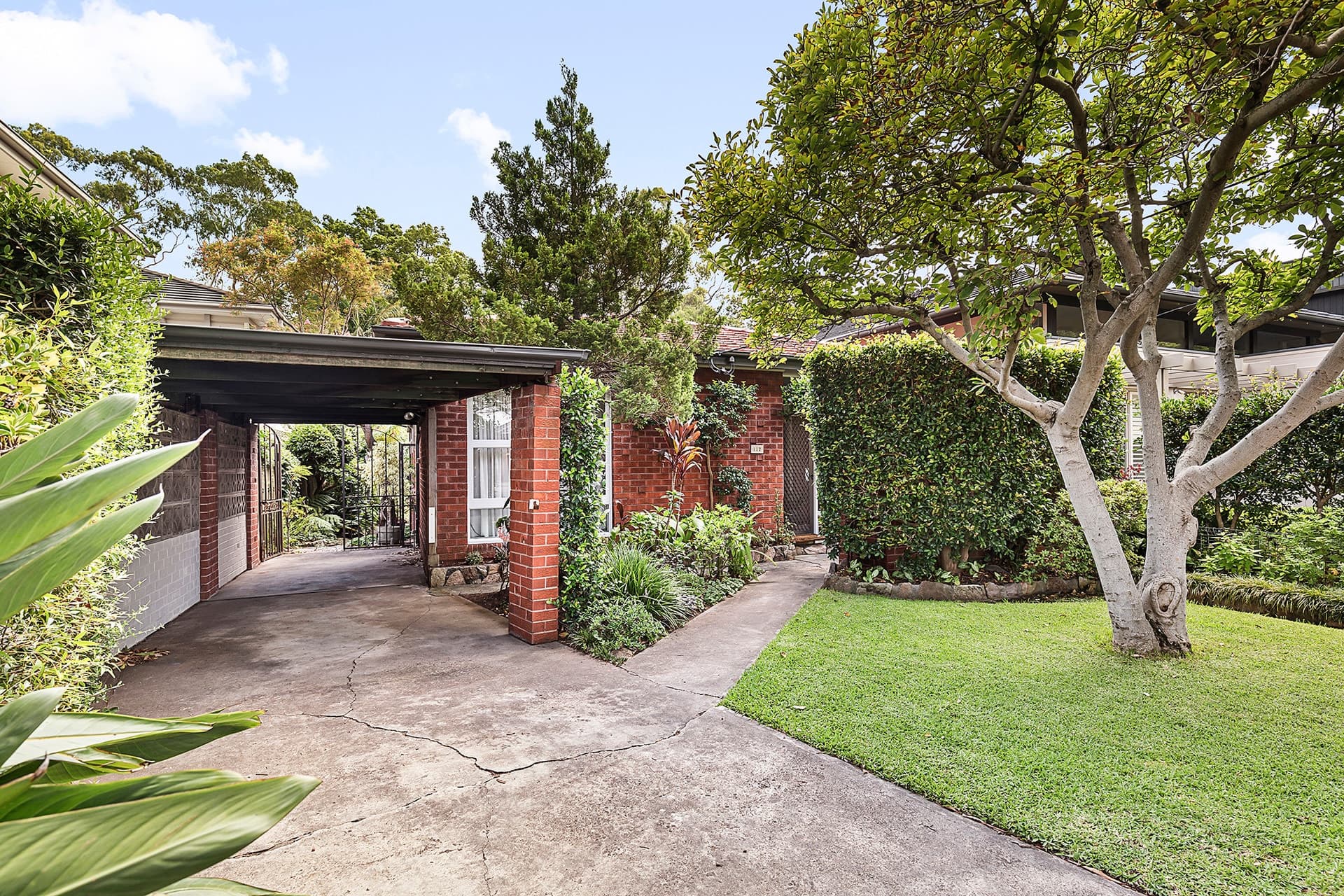 117 Links Avenue, Concord - Thumbnail 3
