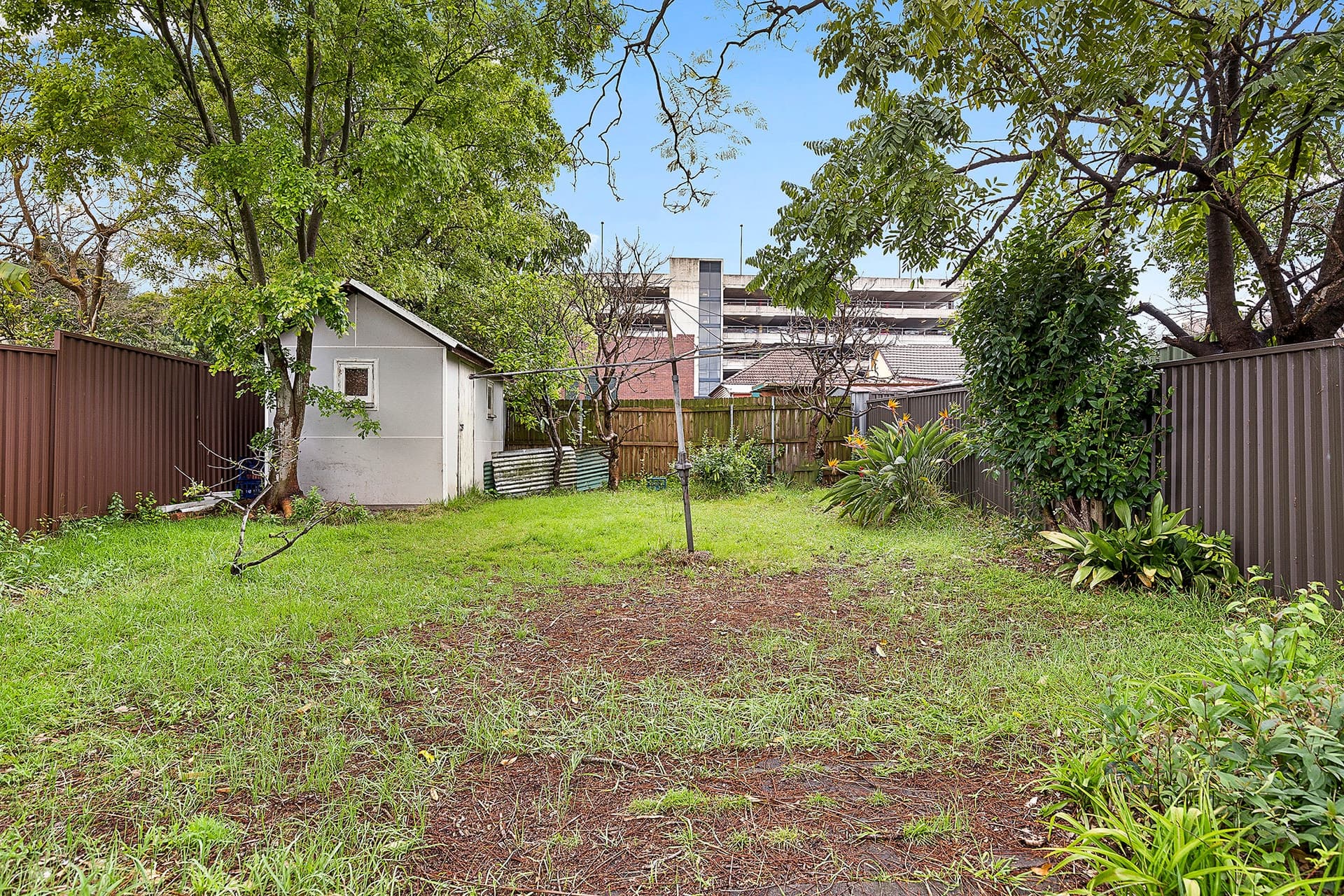3 Elliott Street, North Strathfield - Thumbnail 6