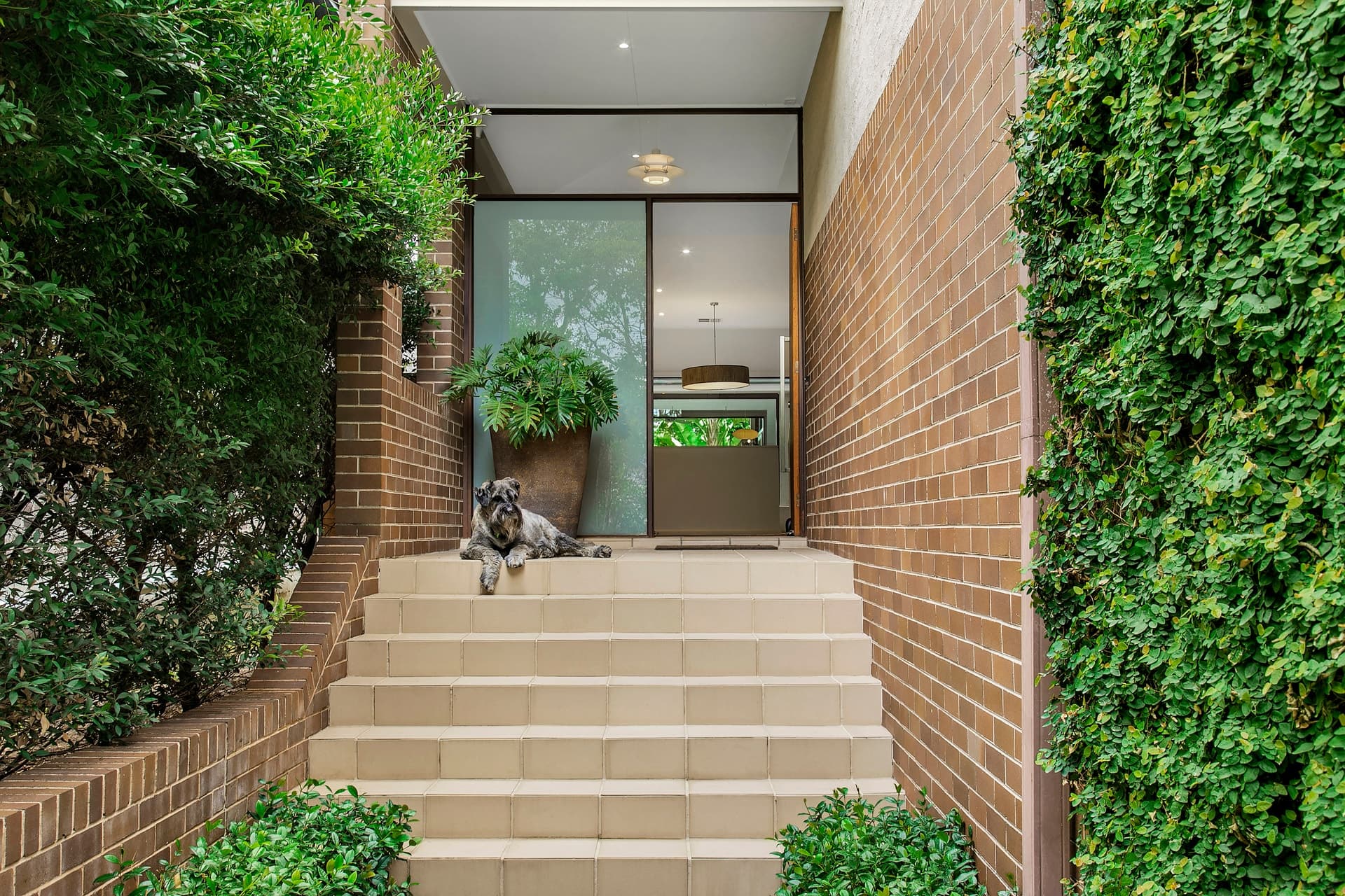 49 Links Avenue Concord NSW 2137, Concord - Thumbnail 2
