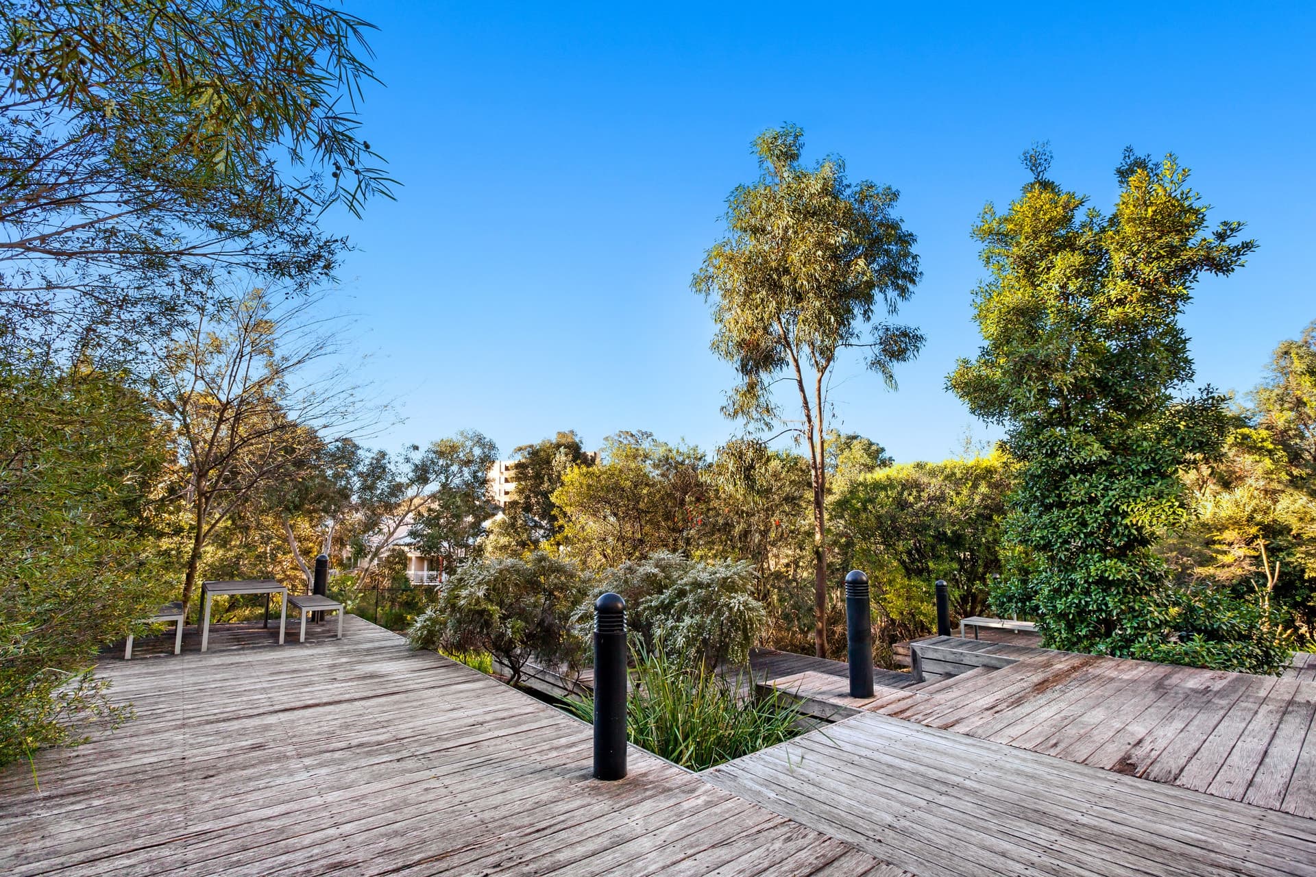 4304/6 Alexandra Drive Camperdown NSW 2050, Camperdown - Thumbnail 5