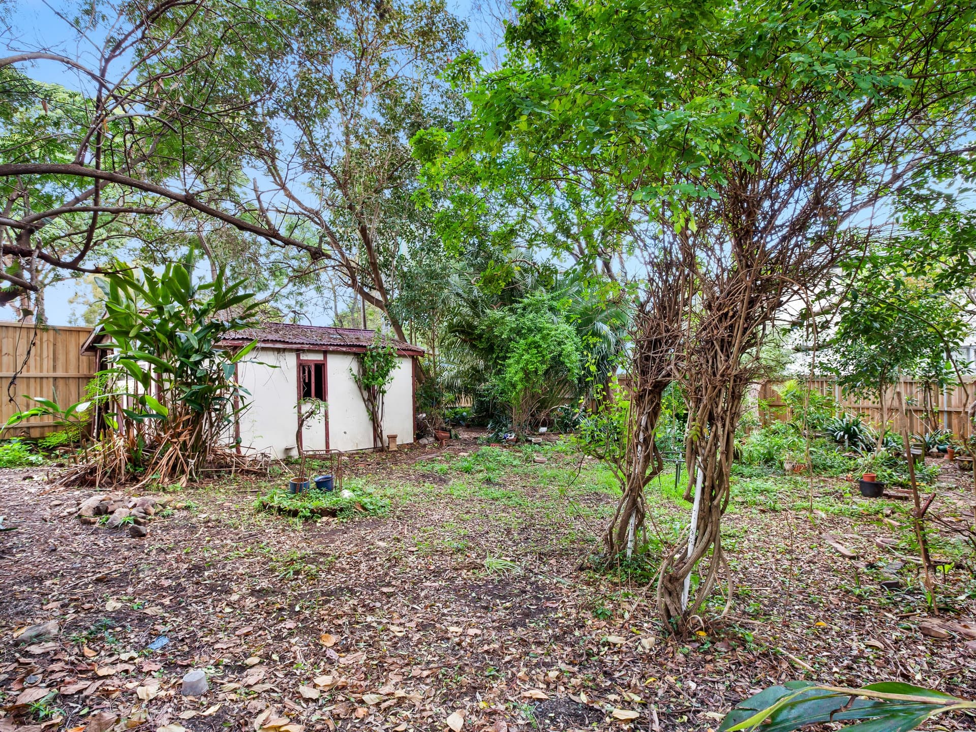 14 Abbotsford Road, Homebush - Thumbnail 6