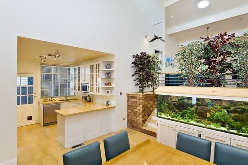 48 Elphinstone Street, Concord - Image 1