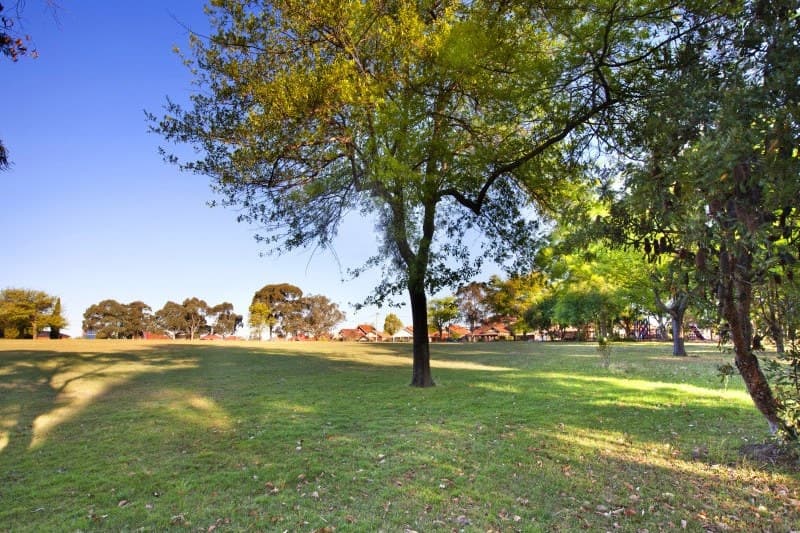 12 Castlereagh Street, Concord - Thumbnail 8
