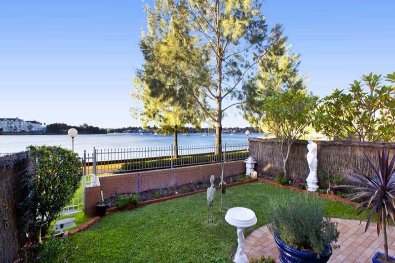 4H/162 Burwood Road, Concord - Image 1
