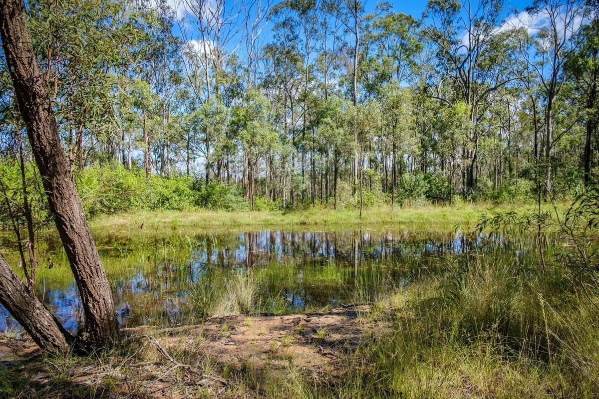 241 Pioneer Road, SINGLETON NSW 2330, Singleton - Thumbnail 4