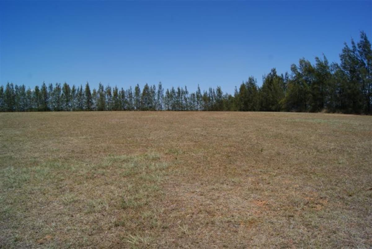 Lot 564 Minimbah Drive, SINGLETON NSW 2330, Singleton - Thumbnail 3
