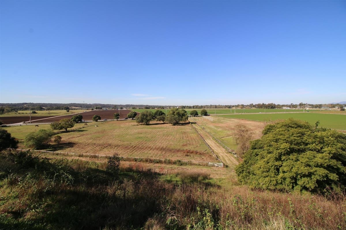 45 Bridgman Road, SINGLETON NSW 2330, Singleton - Thumbnail 4