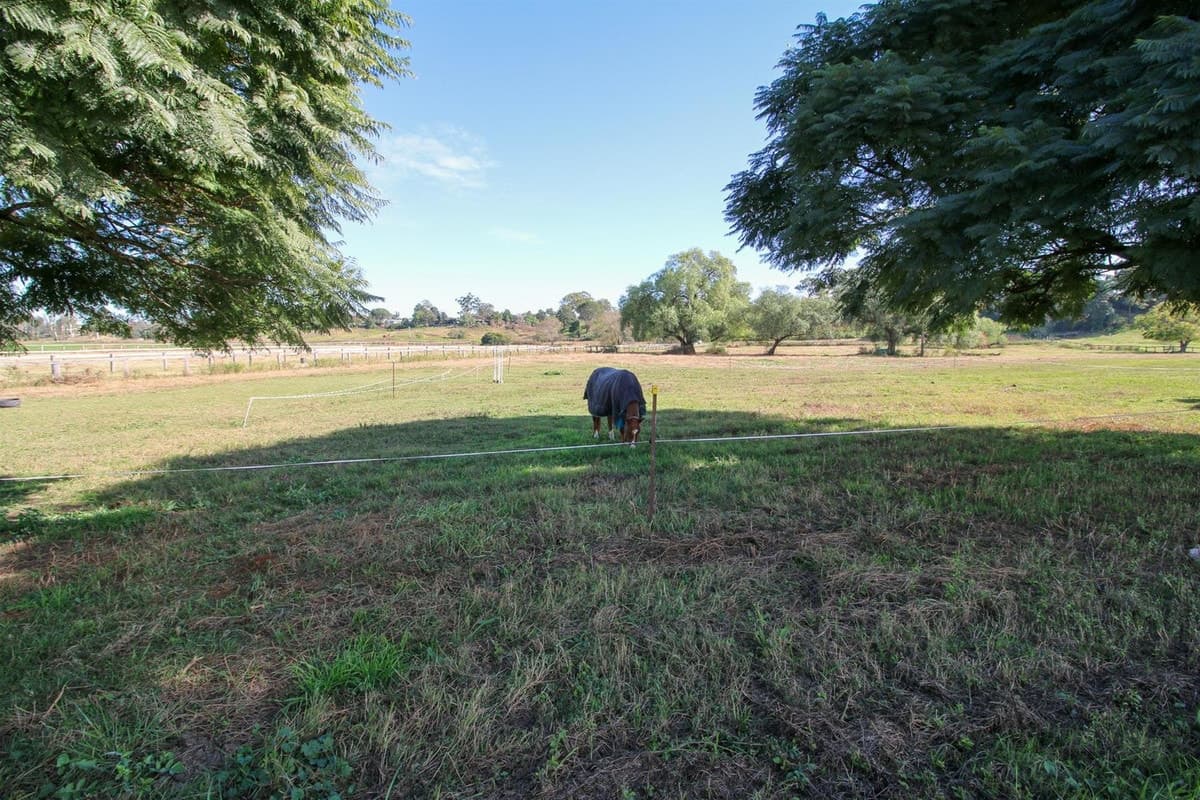 45 Bridgman Road, SINGLETON NSW 2330, Singleton - Thumbnail 6