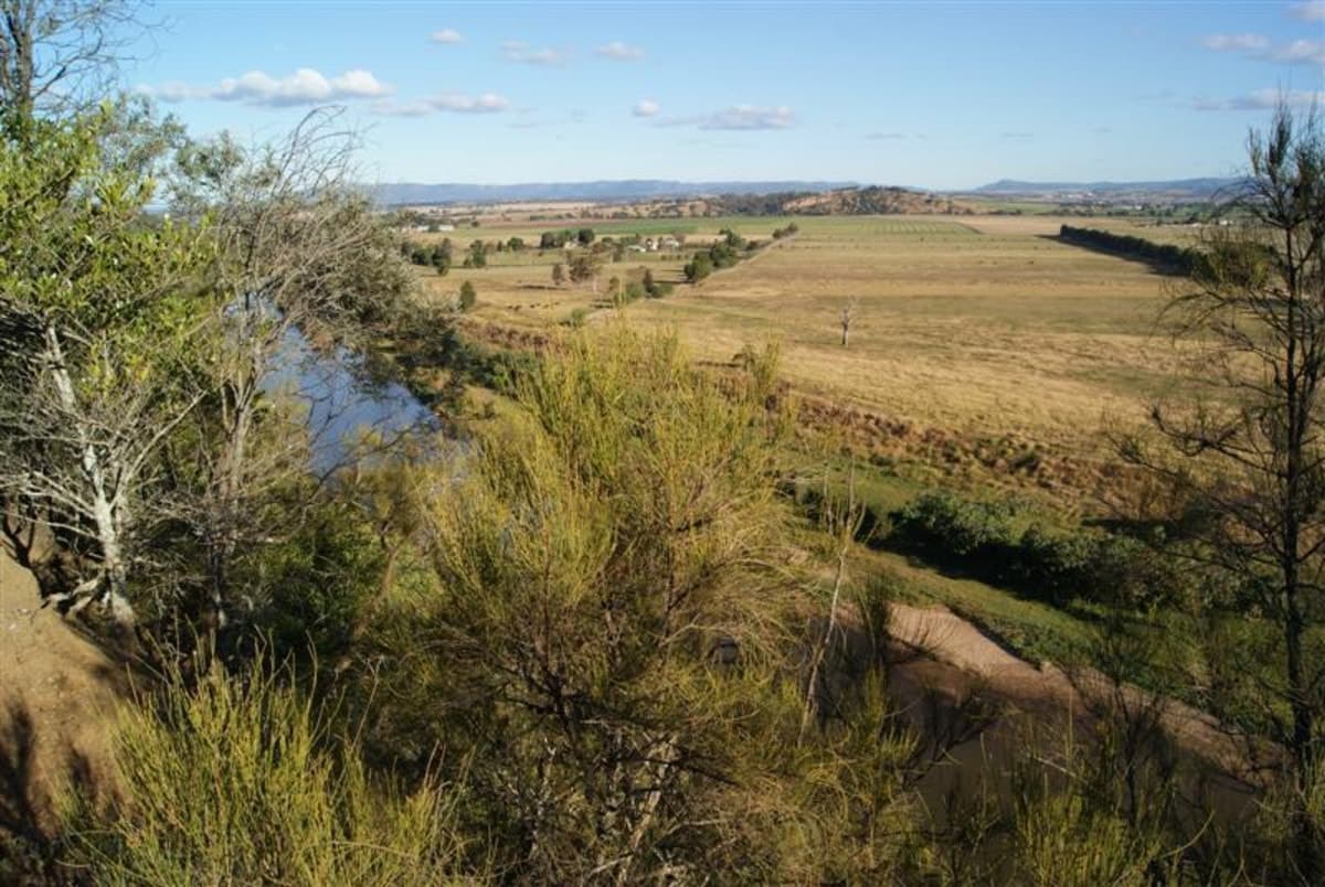 7208 Square Metres..district Views..near Level Site..town Water!!, $290,000, Singleton - Thumbnail 3