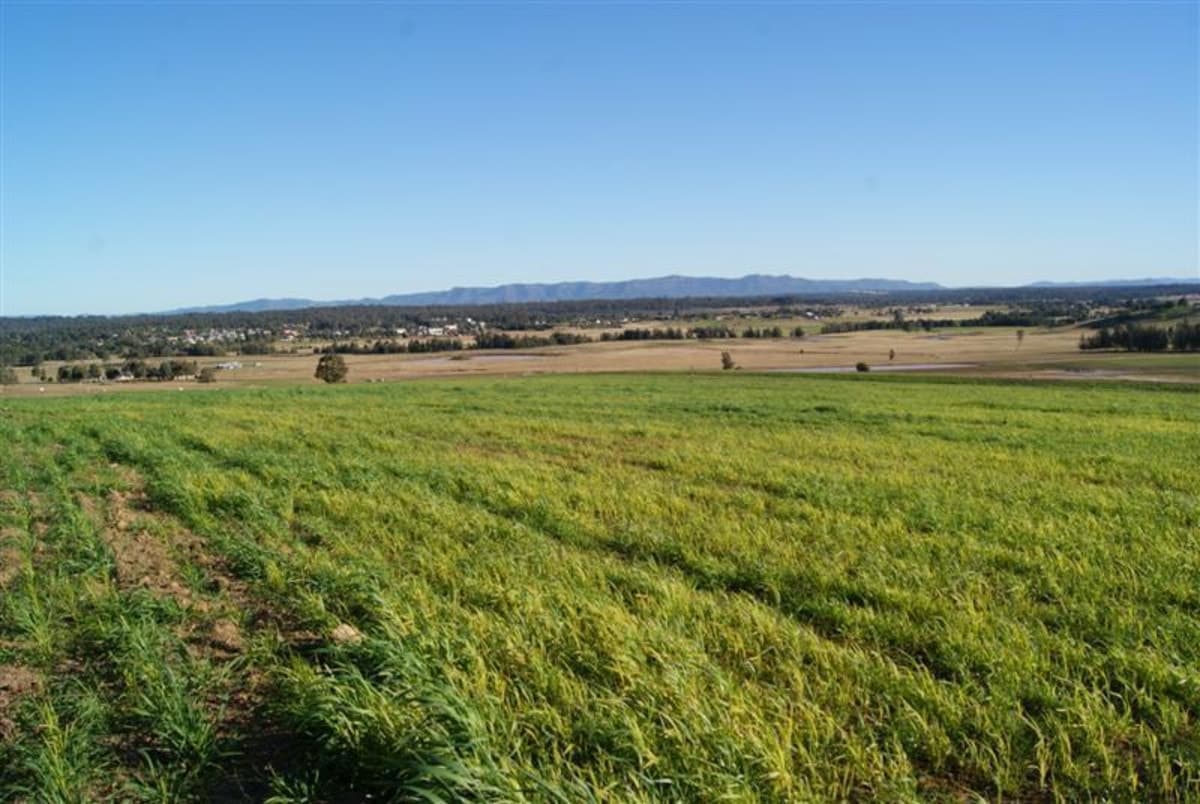 5,220 Square Metres..district Views!!, Contact Us, Branxton - Image 1