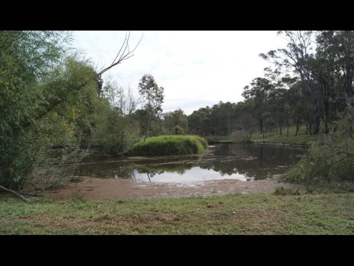 398 Bridgman Road, SINGLETON NSW 2330, Singleton - Thumbnail 3