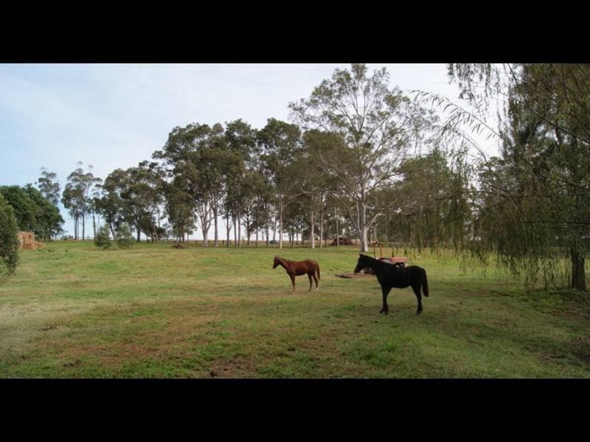 398 Bridgman Road, SINGLETON NSW 2330, Singleton - Thumbnail 4