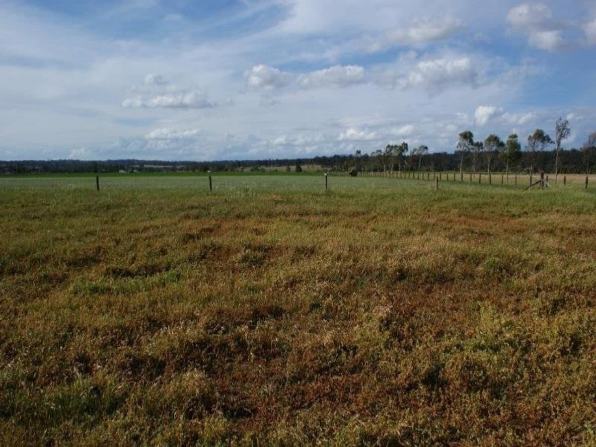 SINGLETON NSW 2330, Singleton - Thumbnail 2