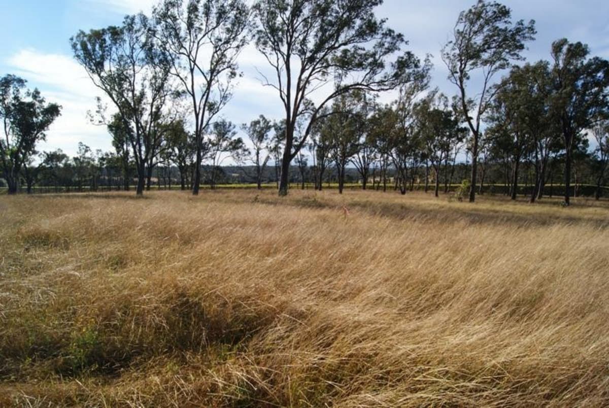 BELFORD NSW 2335, Belford - Thumbnail 2